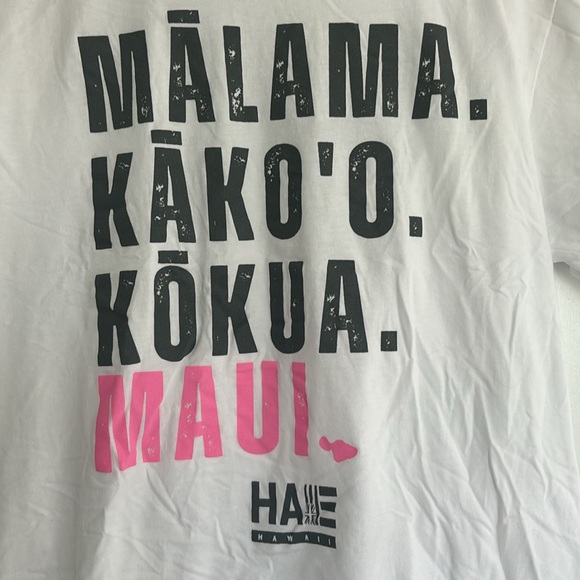 Hae Hawaii (local Hawaiian brand) Maui T-shirt; Large - Picture 2 of 6